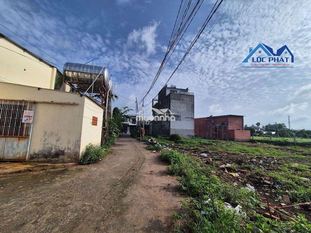 Đất thổ cư đường 768 phường tân triều tp đồng nai - 4