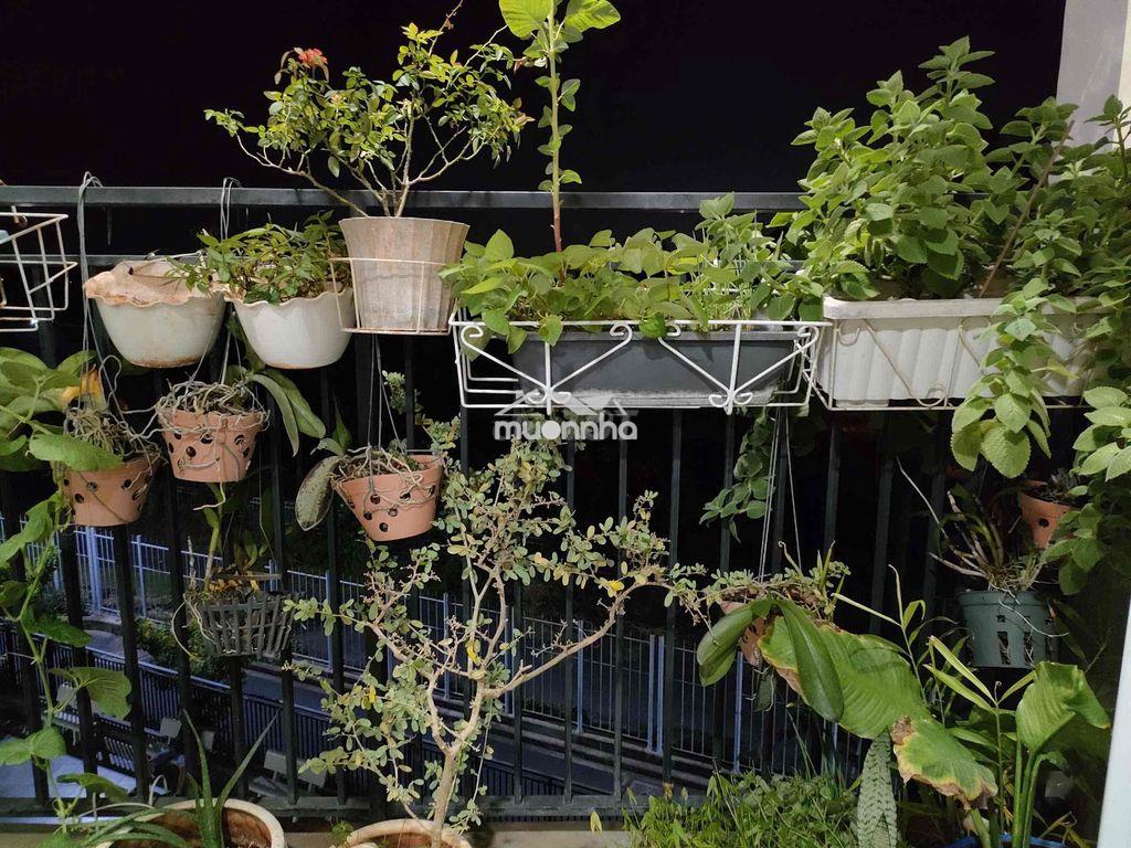Bán nhanh căn hộ chung cư - sổ riêng - chung cư tdh riverview - 3