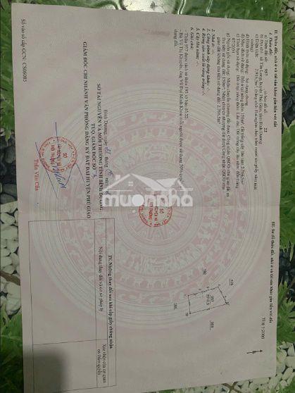 Bán đất có nhà kèm trang trại - 2