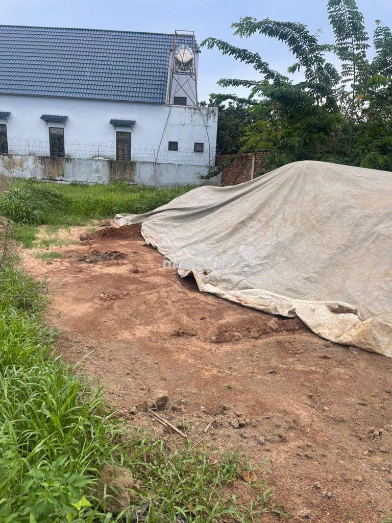 Bán gấp đất trảng bom, đồng nai - 109,5m2 - đuường nguyễn hoàng - 2