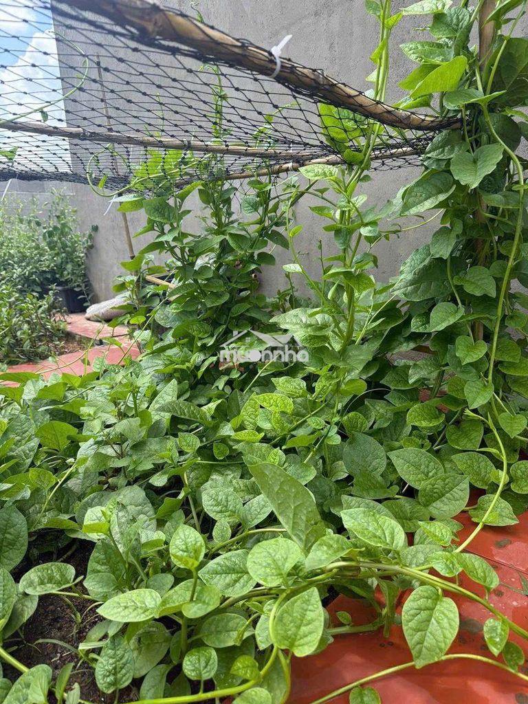Nhà vườn nghỉ dưỡng 1000m2 full thổ cư giữa trung tâm long khánh, đn - 4