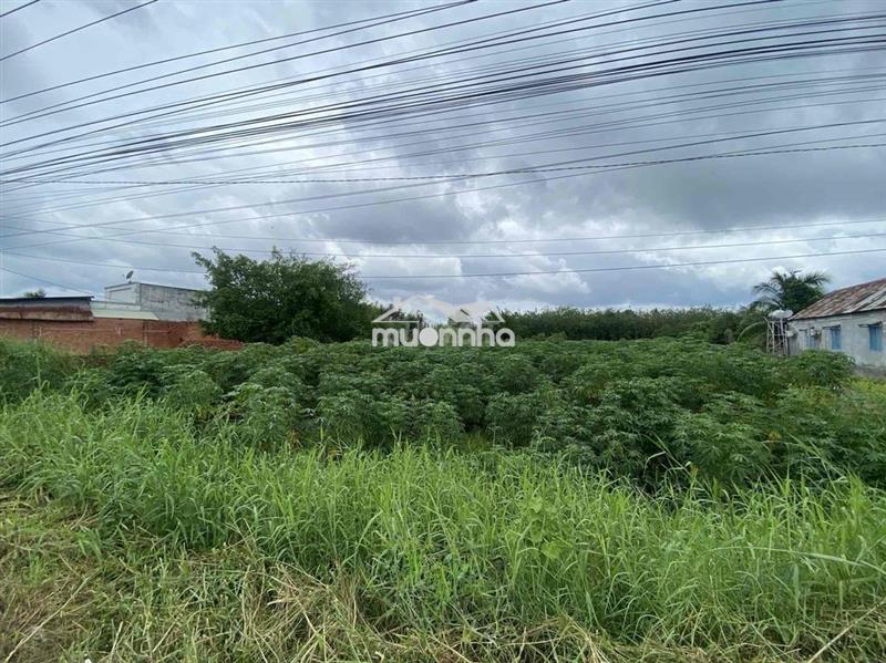 🔥 Đất mặt tiền dt784 tây ninh 1.042m² – sổ riêng