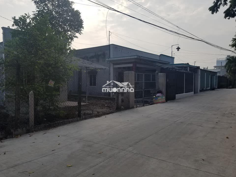 Bán nhà cấp 4 (dt 6x29 giá 650tr) đường an bình cạnh kcn trảng bàng - 3
