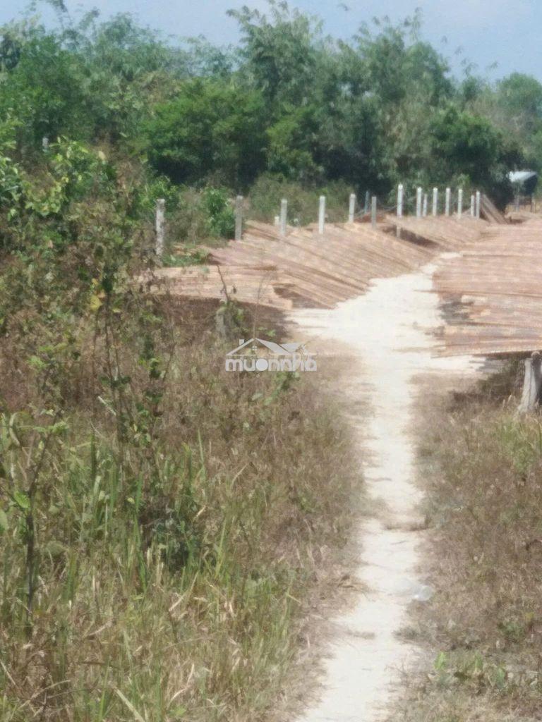 Bán đất mặt tiền huyện dương minh châu lộc ninh tây ninh