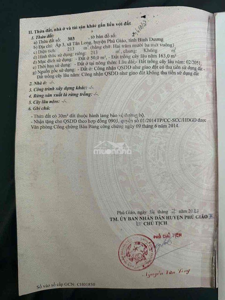 Cần bán nhà cấp 4 - 4