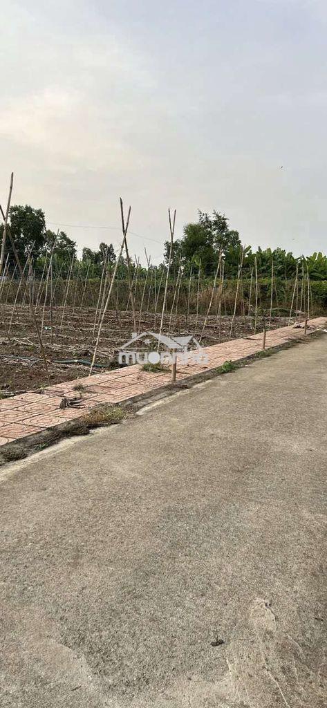 🔥 Cần bán gấp lô đất 134.9m², xuân đông, cẩm mỹ, đồng nai - 2