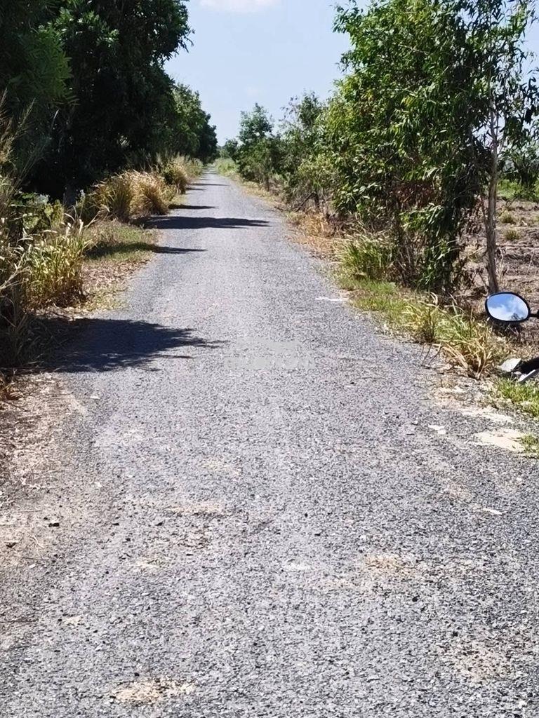 Bán đất kênh 9 (võ văn kiệt) lê minh xuân, bình chánh