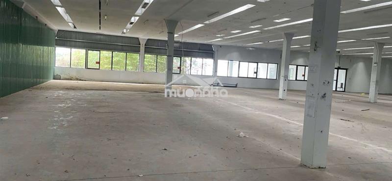 Mb kho xưởng vitri đẹp xe container. giá 100k/1m2 có xuất (vat)