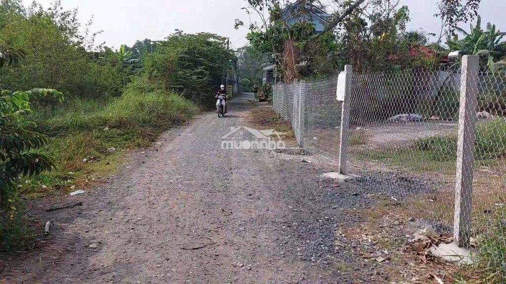 Bán 529m2 đất vườn 10x52 dân cư xây mới hẻm xe hơi xã bình chánh 2ty5 - 2