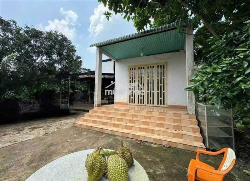 Chính chủ bán ngộp nhà cấp 4, vườn cây trái rộng 2600m2, giá 650 triệu