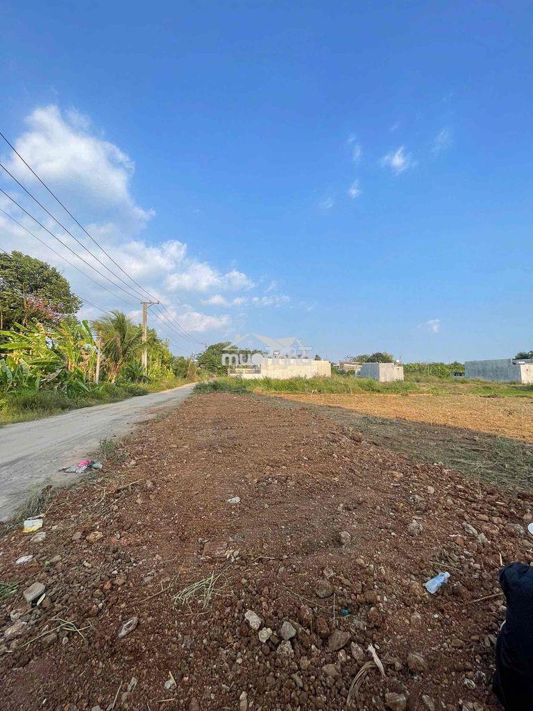 Vườn 3300m2 có 200m2 thổ cư /3,6ty trảng bom - 2