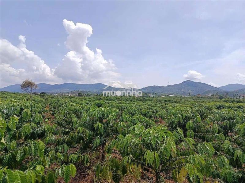 Đất đầu tư nghỉ dưỡng quá tuyệt