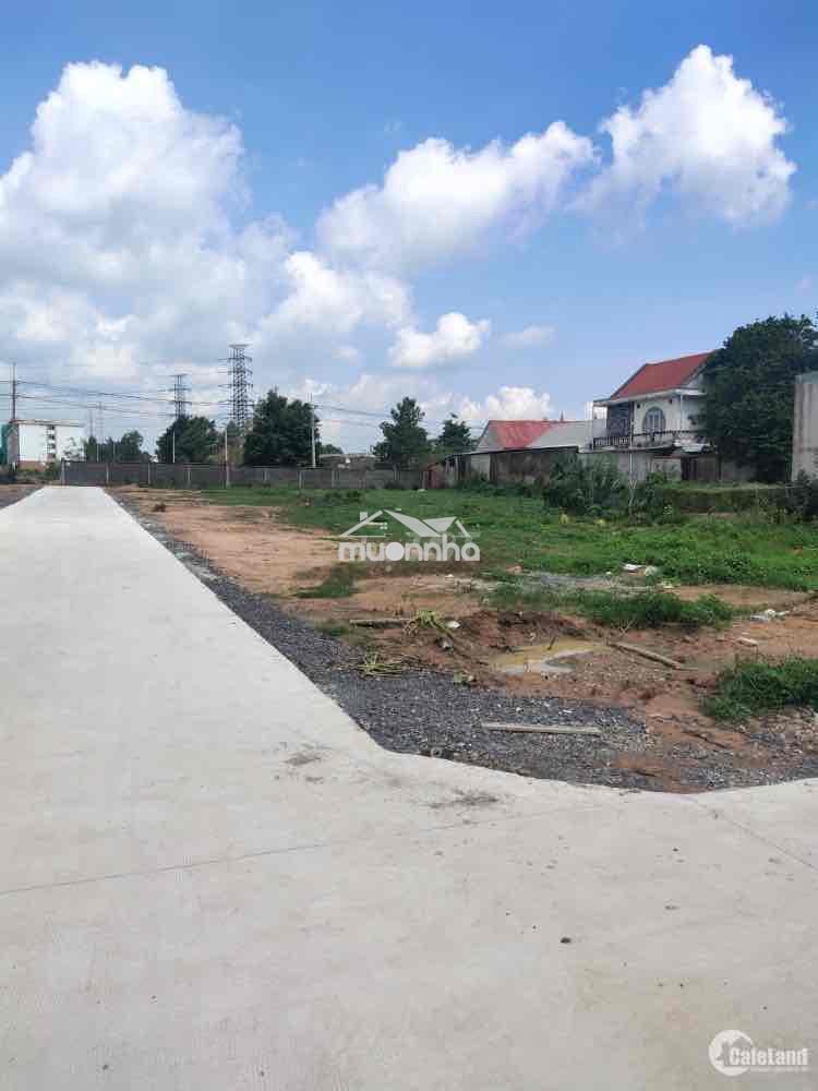 1100m2 sở hữu 60m mặt tiền đường bê tông 7m - 3
