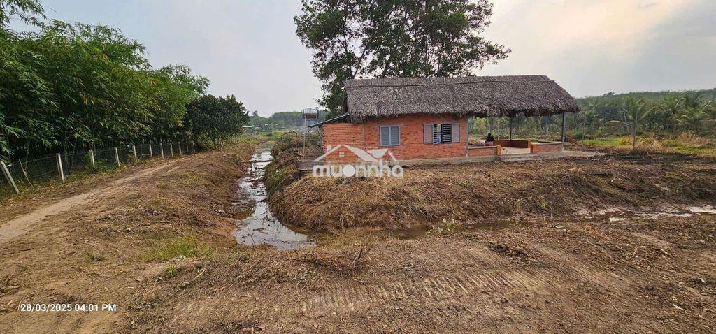 1.6ha - 2 mặt tiền đường và sông sg ! - 3