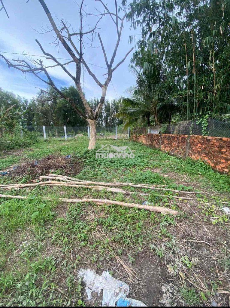 Giá ngộp 1300m2 đất lộ giới 4m cách cầu ba láng 250m giá 1 ty 8 tl