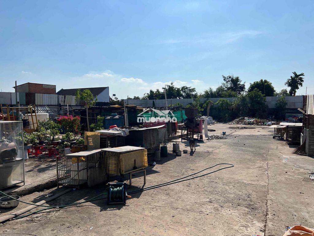 Chủ cần bán gấp biệt thự sân vườn hơn 2.000m² mặt tiền huỳnh thị mài – - 4