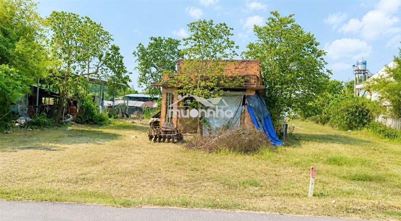 🔥 Giảm 200tr chỉ 2tỷ1 tl cần bán 1.132m² mt đỗ đăng tuyển - củ chi 🔥