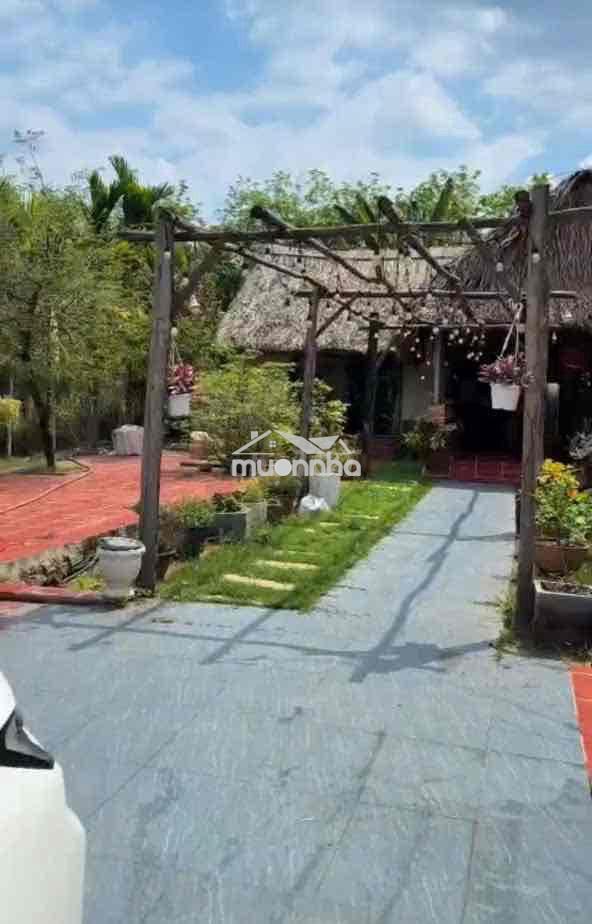 Gấp gấp nhà vườn an điền 15x52m. thổ cư 200m2 sẵn nhà , cây ăn quả - 4