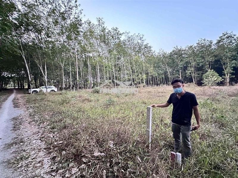 Chủ bán lô đất sào - 1.200m2