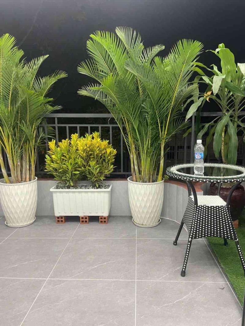 🔥 Nhà mới siêu đẹp 5 tầng ngay nguyễn ảnh thủ - 2