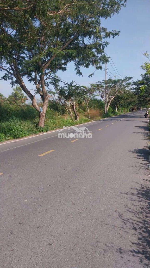 Cần bán 2ha3 đất mặt tiền ngô quang thắm nhà bè hcm 