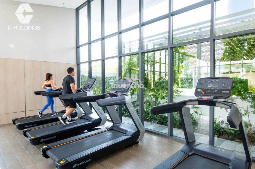 Chính chủ tôi cần tiền bán gấp căn hộ cao cấp penthouse c - skyview - 2