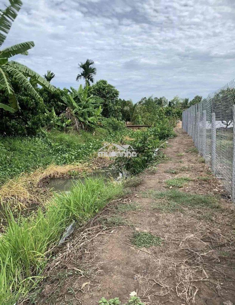 5 công tầm lớn định môn