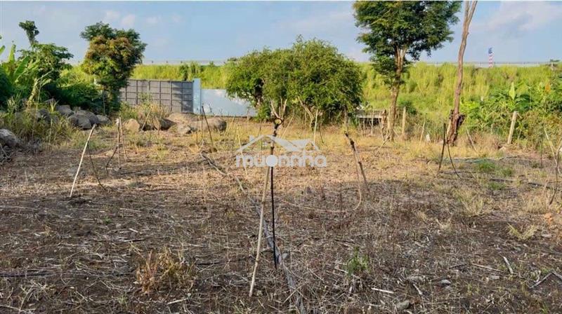 Cần bán lô đất 10m mặt tiền đường nhưa view suối, xã xuân phú, tp đn