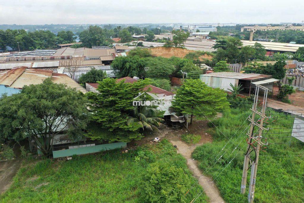 Bán đất 1.042m² – an phước, long thành - 2