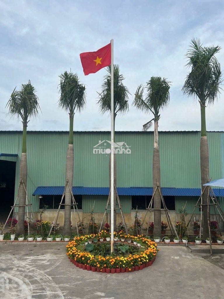 Cho thuê đất - kho - xưởng - giá rẻ