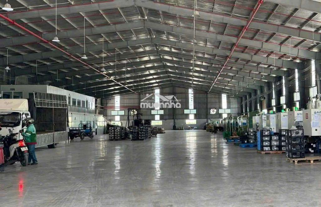 Cần cho thuê nhà xưởng 1700m 150tr tại thuận an bd.  giấy tờ đây đủ - 3