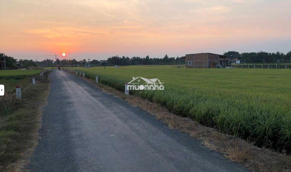 Bán đất đê bao sông vàm cỏ, tân trụ, long an - 2