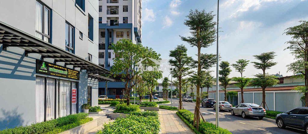 Chuyên căn hộ m-one cho thuê 1-3 phòng ngủ giá chỉ từ 8 triệu/tháng - 4
