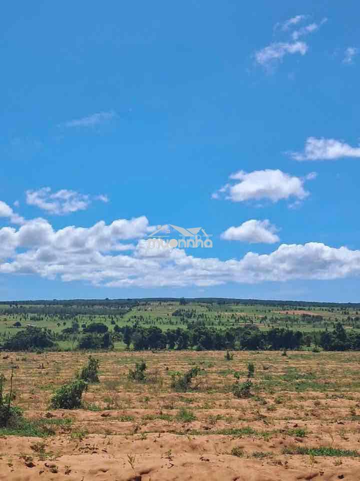 Bán 19.000m2 đất trồng cây xã bình tân, huyện bắc bình, bình thuận