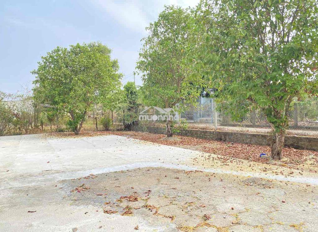 Bán nhà nghỉ 10 phòng tại định quán - đồng nai - 2