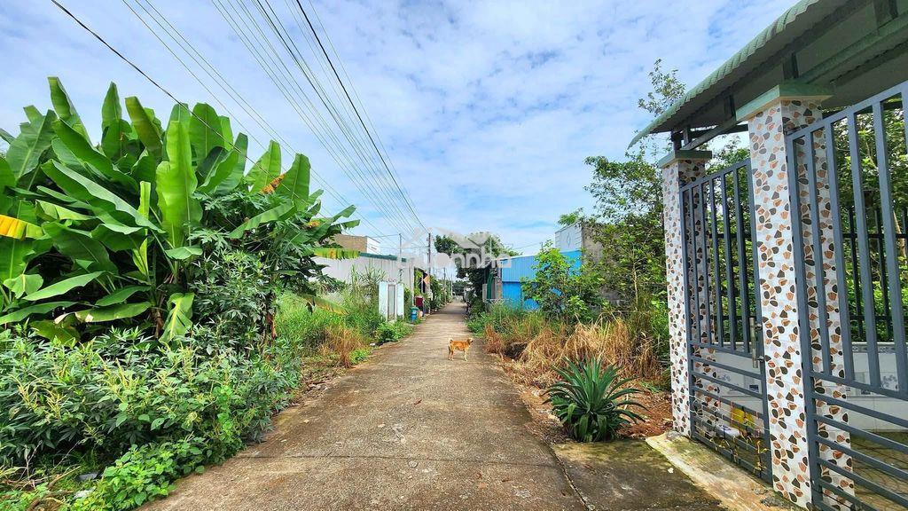 Chủ bán 100m2 đất thổ cư, ngay suối dinh, vành đai 4 và kcn bàu xéo - 3