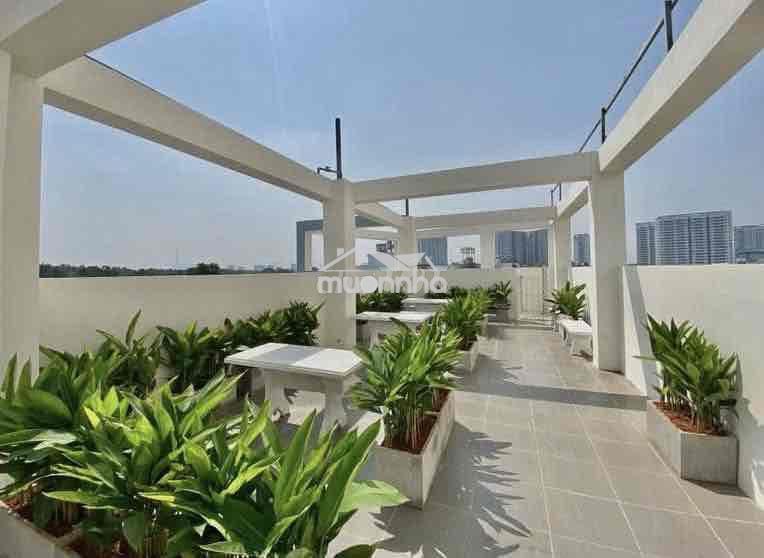 Cho thuê phòng mặt tiền bạch đằng kế sân bay tân bình - 3