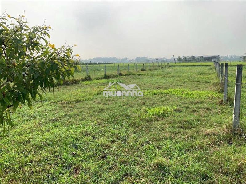 Bán đất thổ cư chính chủ 480 m2 hoà khánh tây ninh