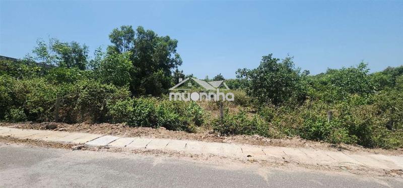Lô đất view rừng, 1000m2, cách biển hồ tràm 500m, shcc,tiện kd du lịch
