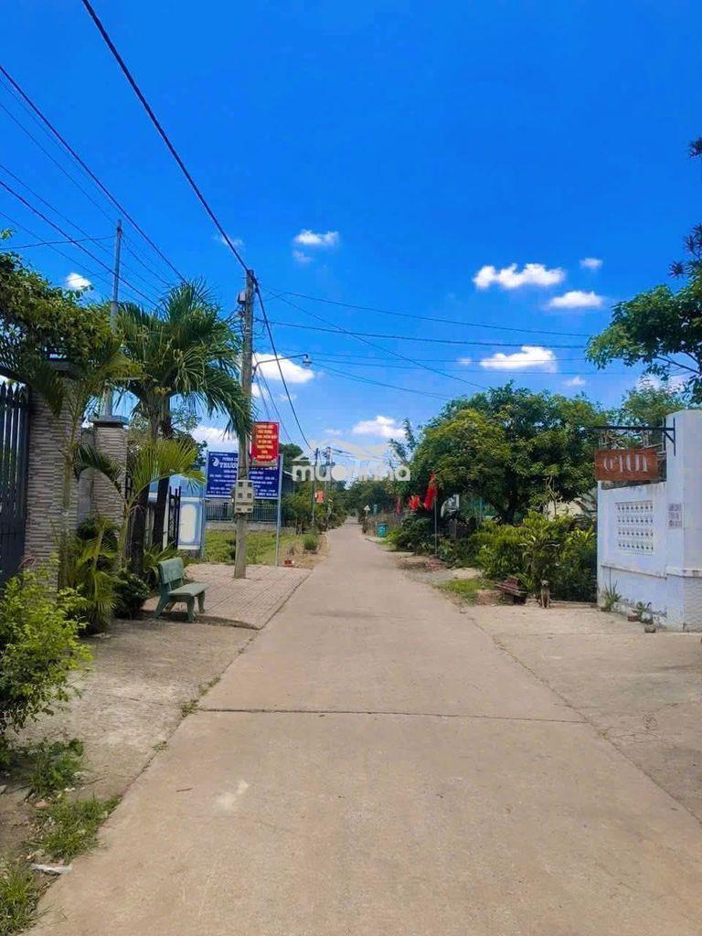 Đất góc 2mt xuân đông cẩm mỹ , 566m2 gần chợ cọ dầu cách dt765 tầm 50m - 3
