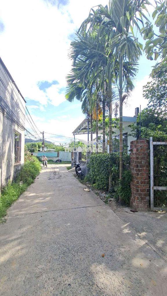 ✳️ Lô góc ô tô tận nơi cách đh duy tân 1km - hòa khánh - 3