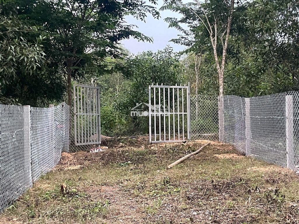 Bán lô đất ở tại nông thôn,dân cư đông đúc,cách qlo 20 khoảng 800m - 4