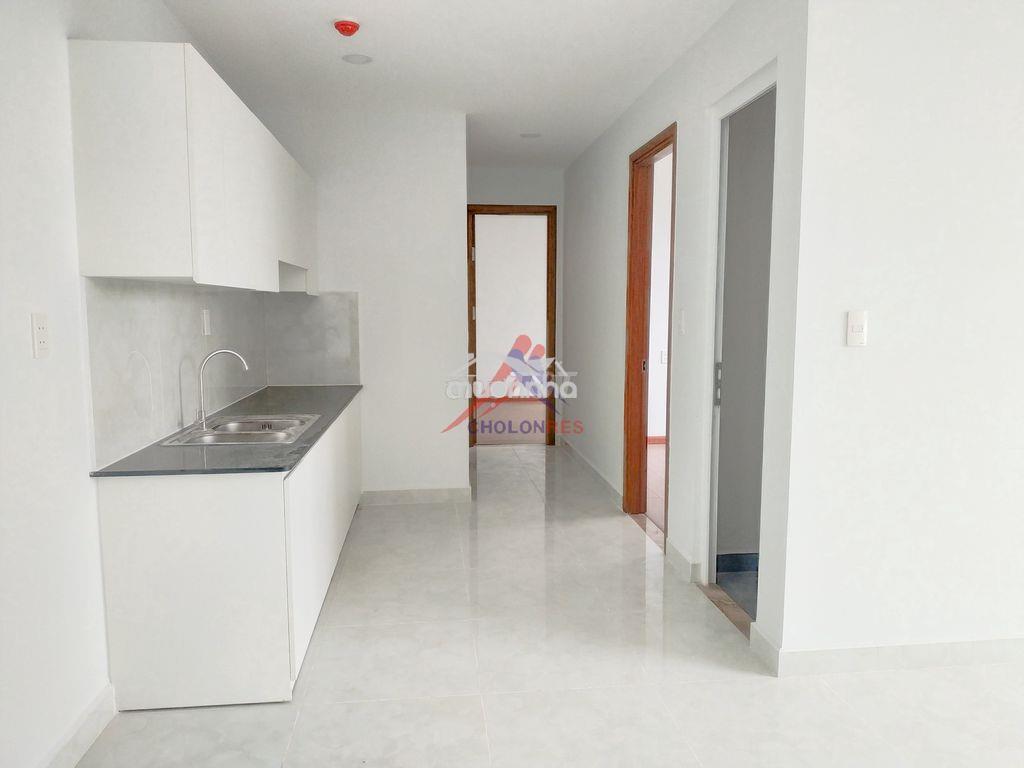 Cho thuê căn hộ felisa riverside gần cầu nguyễn tri phương - 3