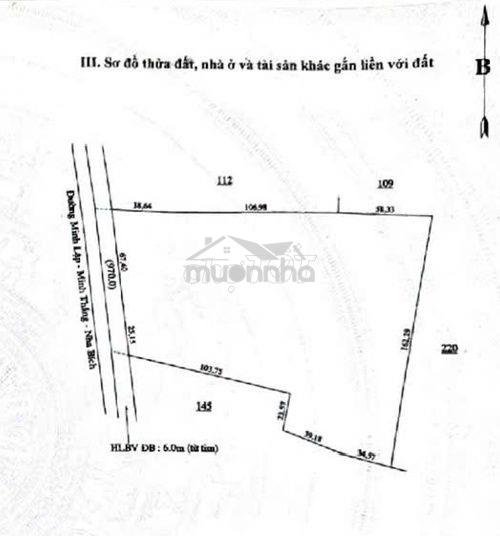 Bán 3 hecta cao su, mặt tiền đường nhựa 9m, minh lập - chơn thành - bp - 4