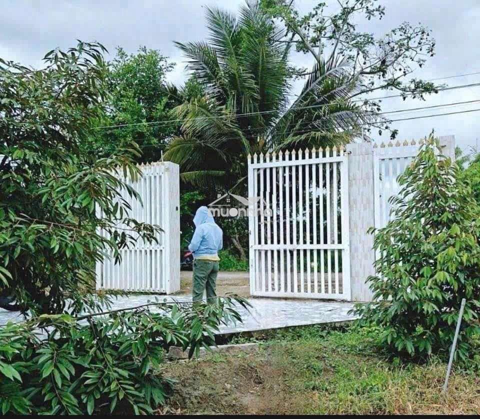 Bán gấp nhà vườn chuyển về quê - 2