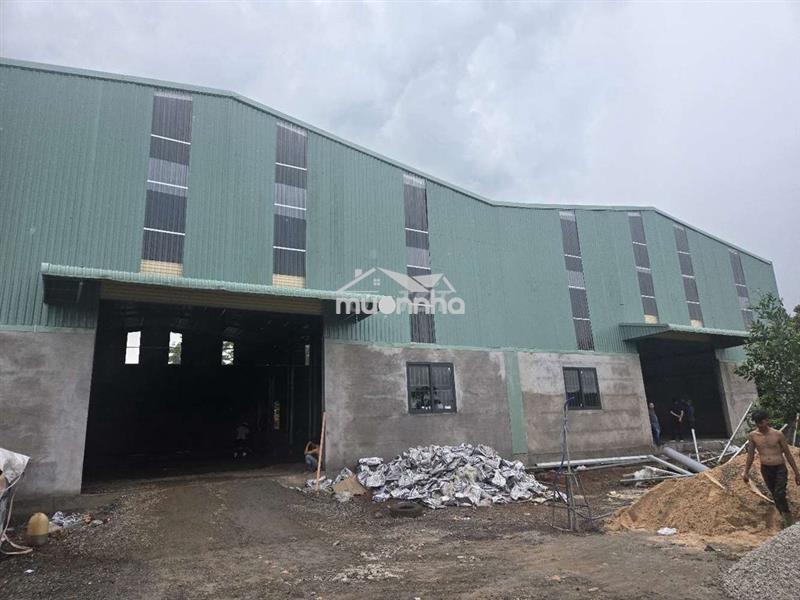 Cho thuê mặt bằng nhà xưởng