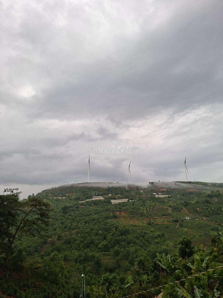 Bán homestay view săn mây cầu đất - 4