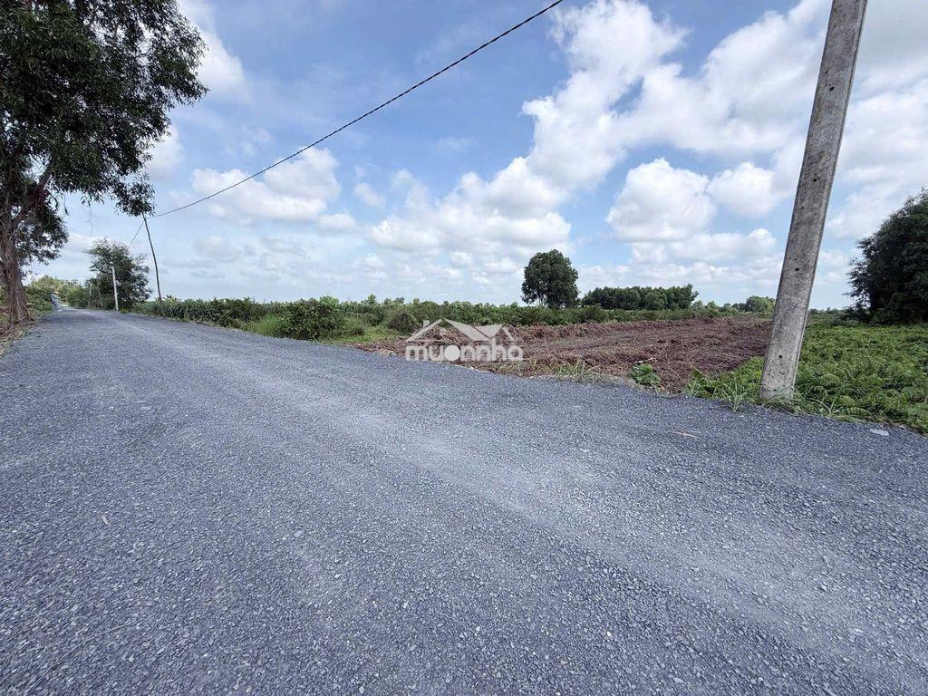Hàng hiếm tại tỉnh lộ 816, 360 triệu, 500m2 đất vườn view kênh mát mẻ - 4