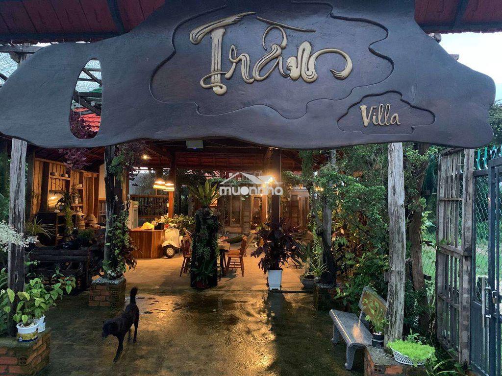 Gả villa gô, 2mt kinh doanh ngay - 3