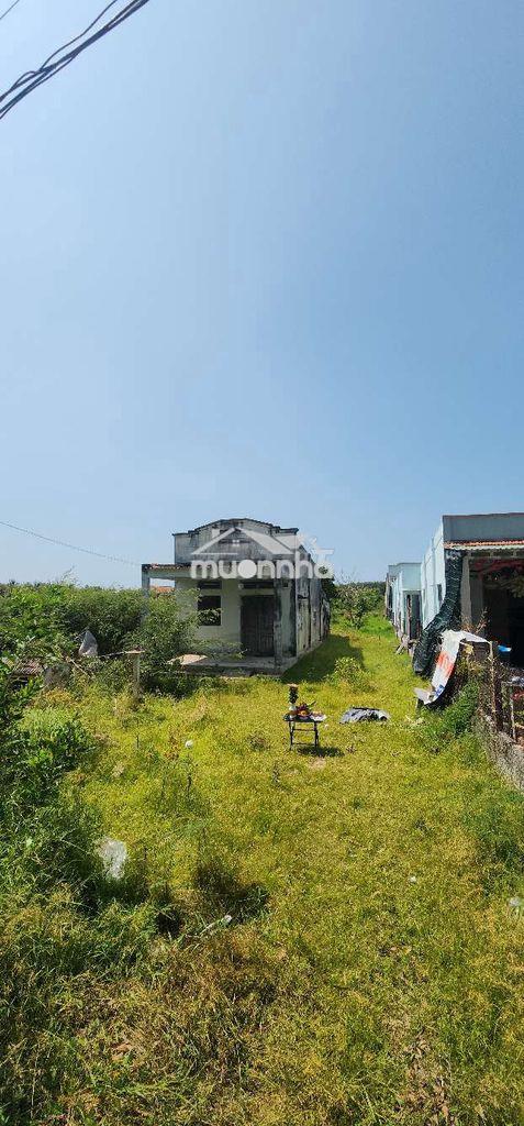 9x53 , 80m2 tc ngay biển hồ tràm - shcc, tiện xây homestay hoặc đầu tư - 3